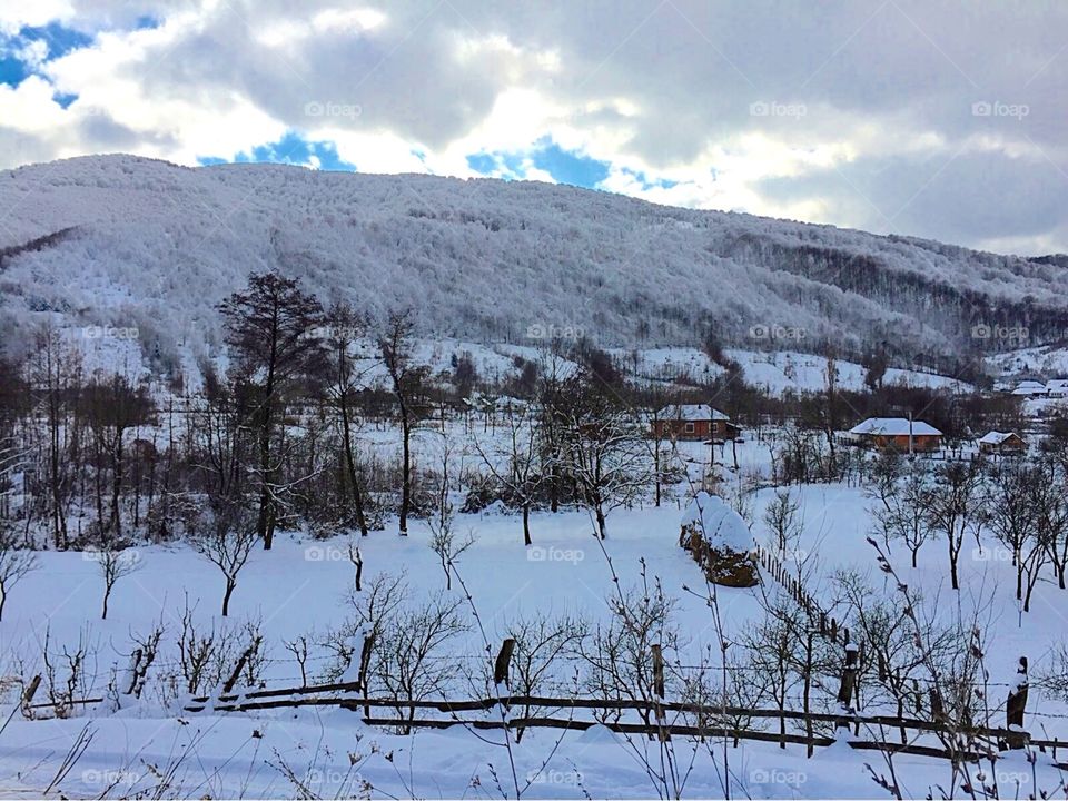 Winter landscape of snow covering houses