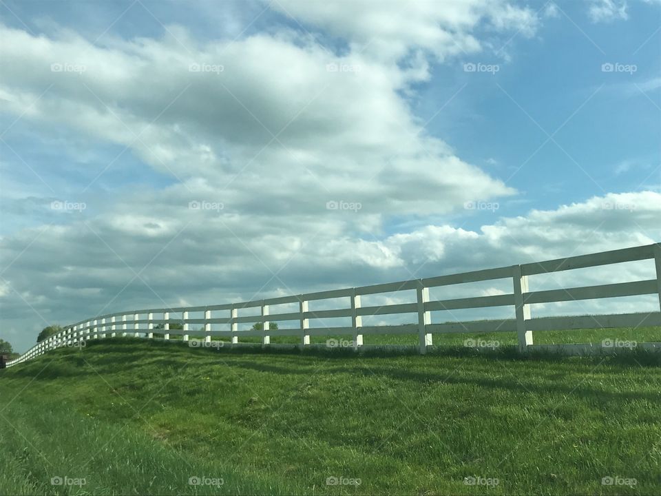 White Fence Blue Sky