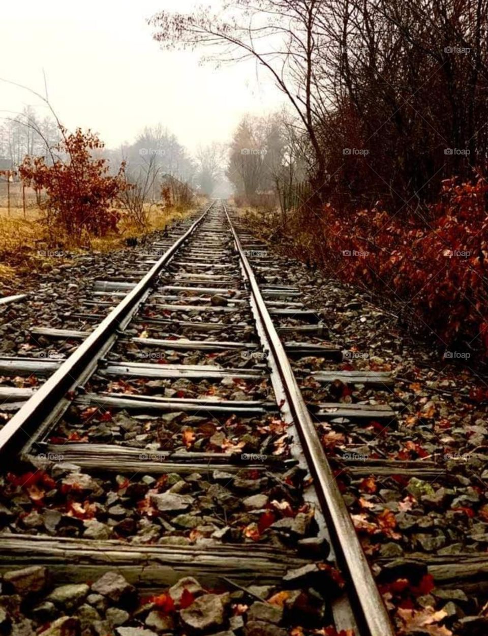 Battle: Summer vs Fall mission