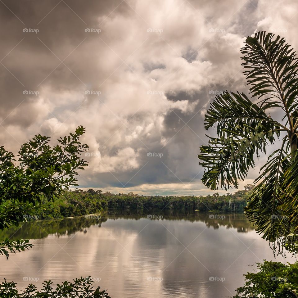 Lake Sandoval, Rainforest, Jungle, Peru