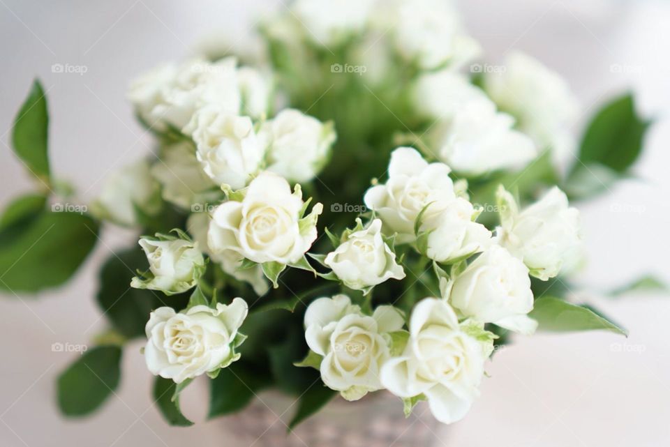 Bouquet of white small roses 