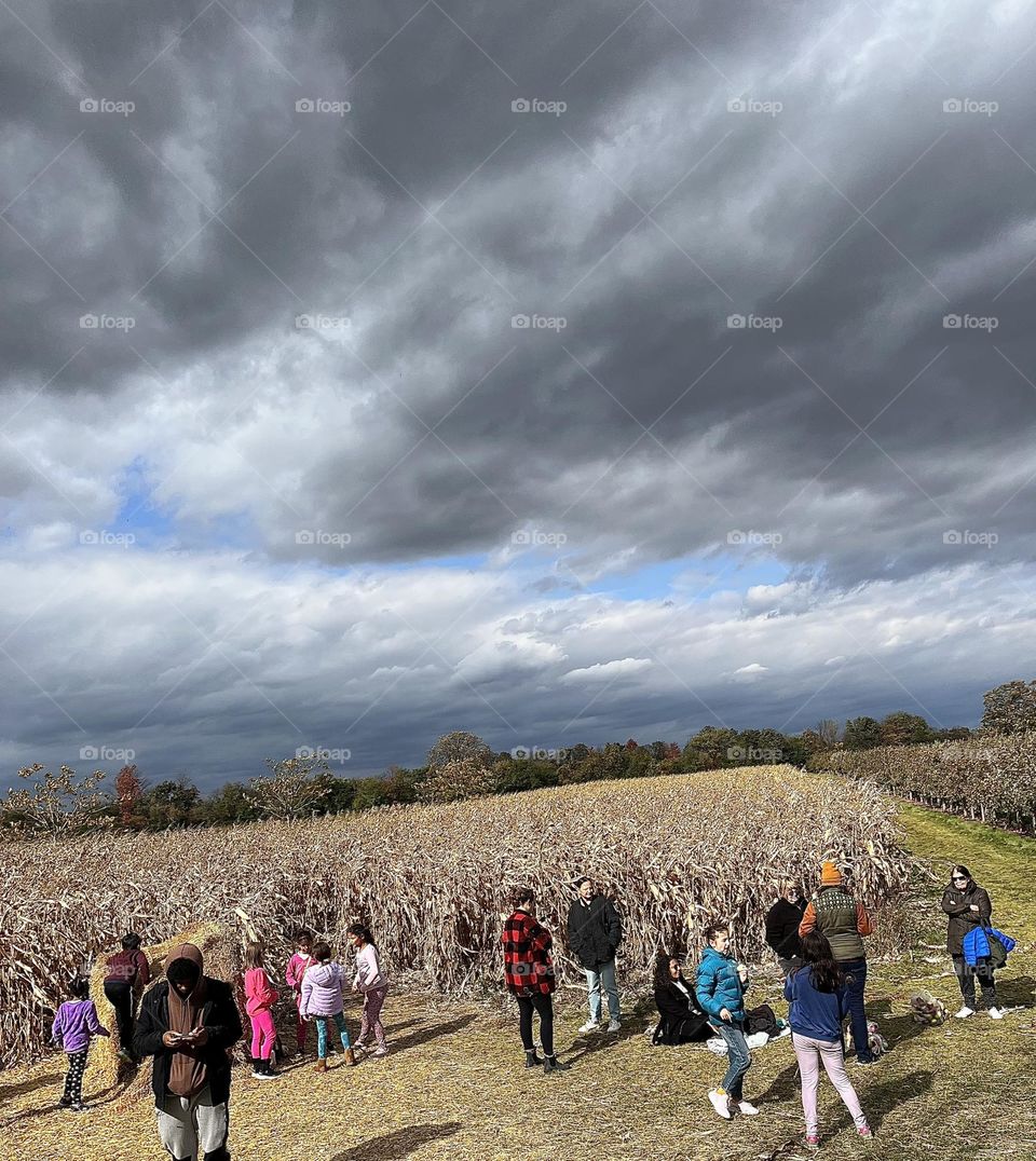 Fall day at apple picking farm , angry dark cloud coming in on a beautiful sunny autumn day. Corn maze , people , photo taken from moving tractor