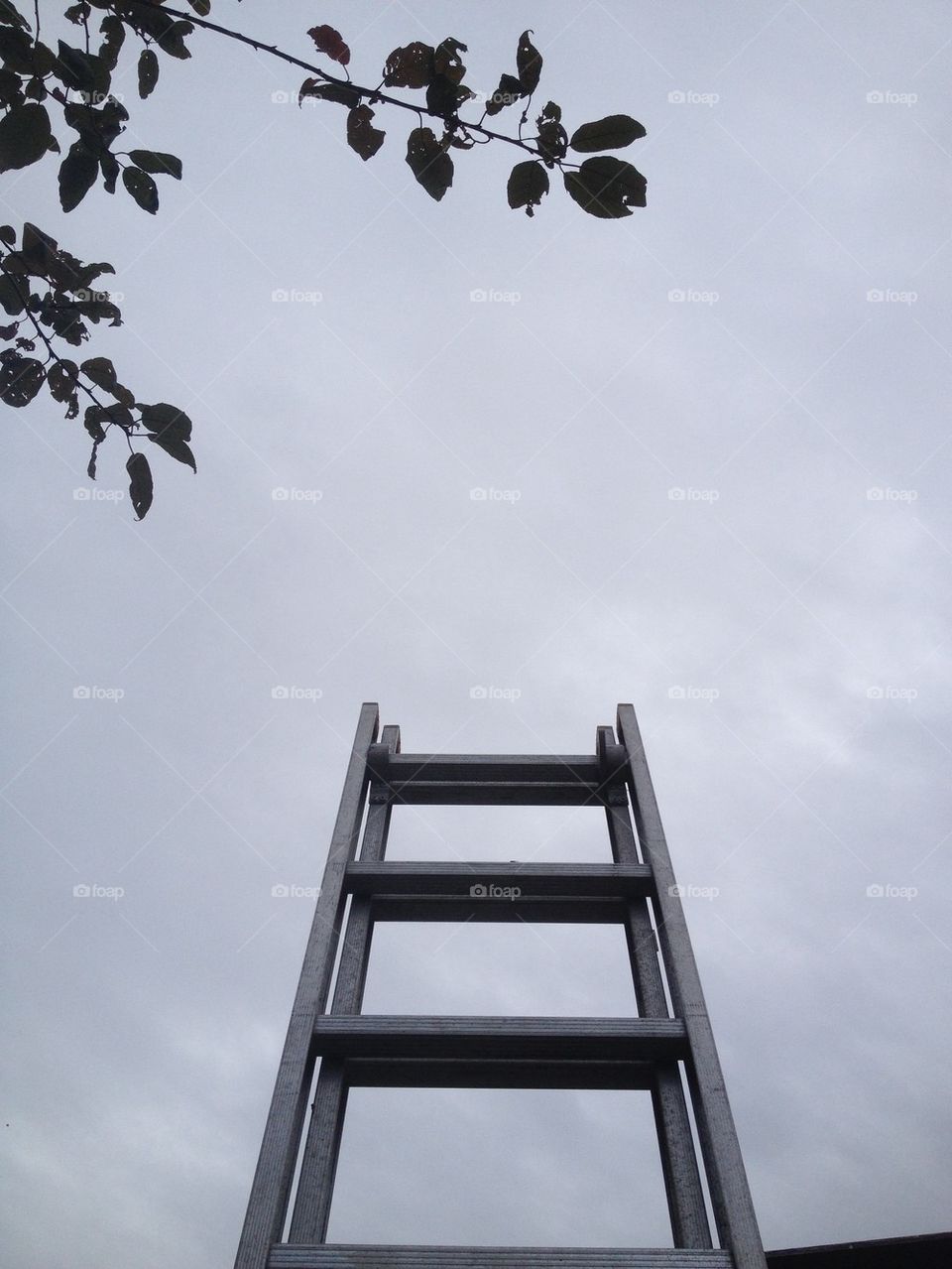 Simply a ladder