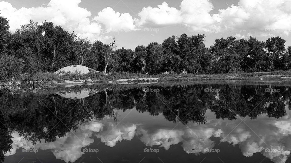 B&W Pond
