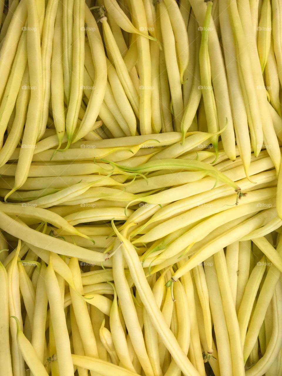 Close-up of beans