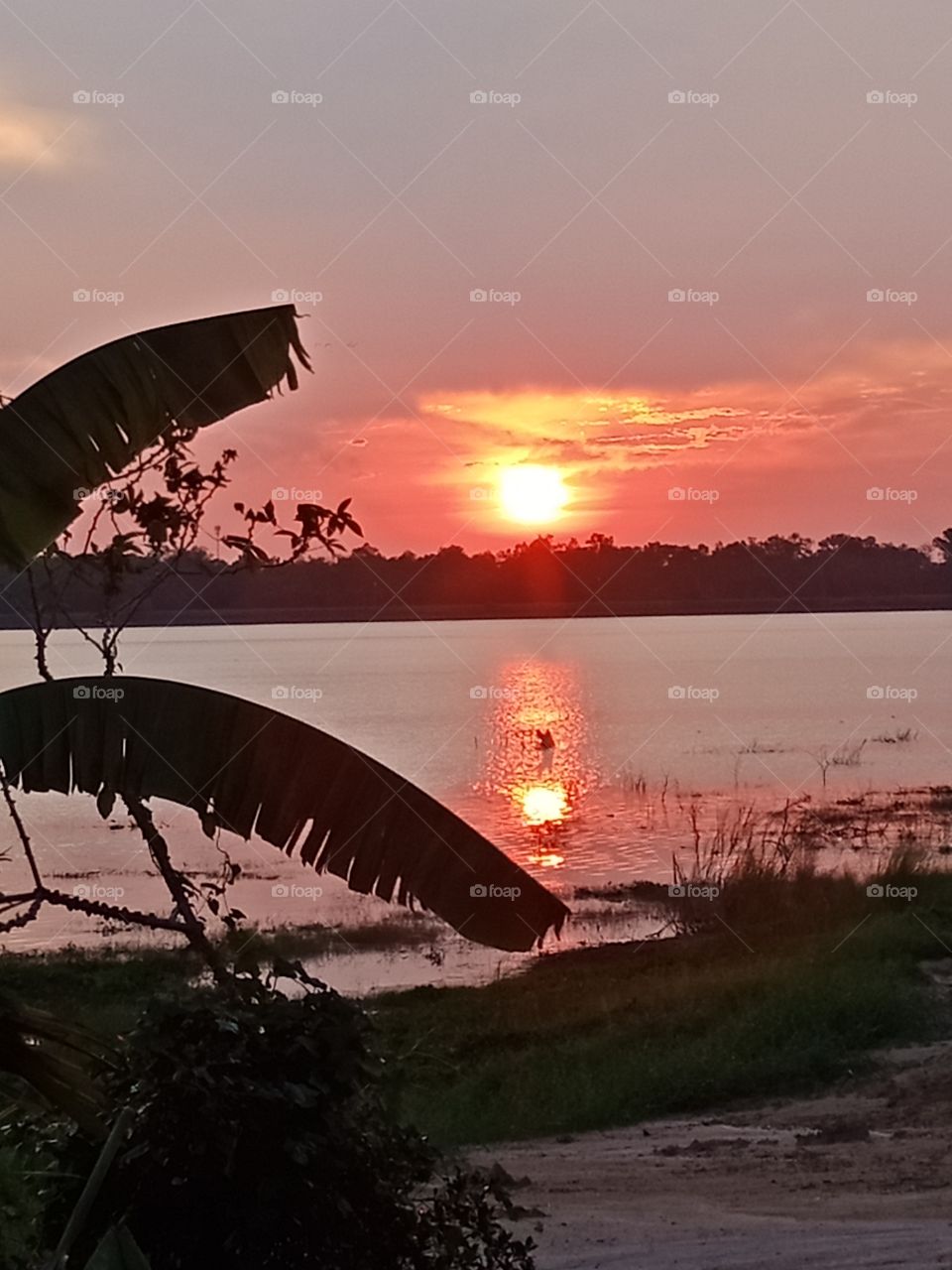 Sunset Thailand