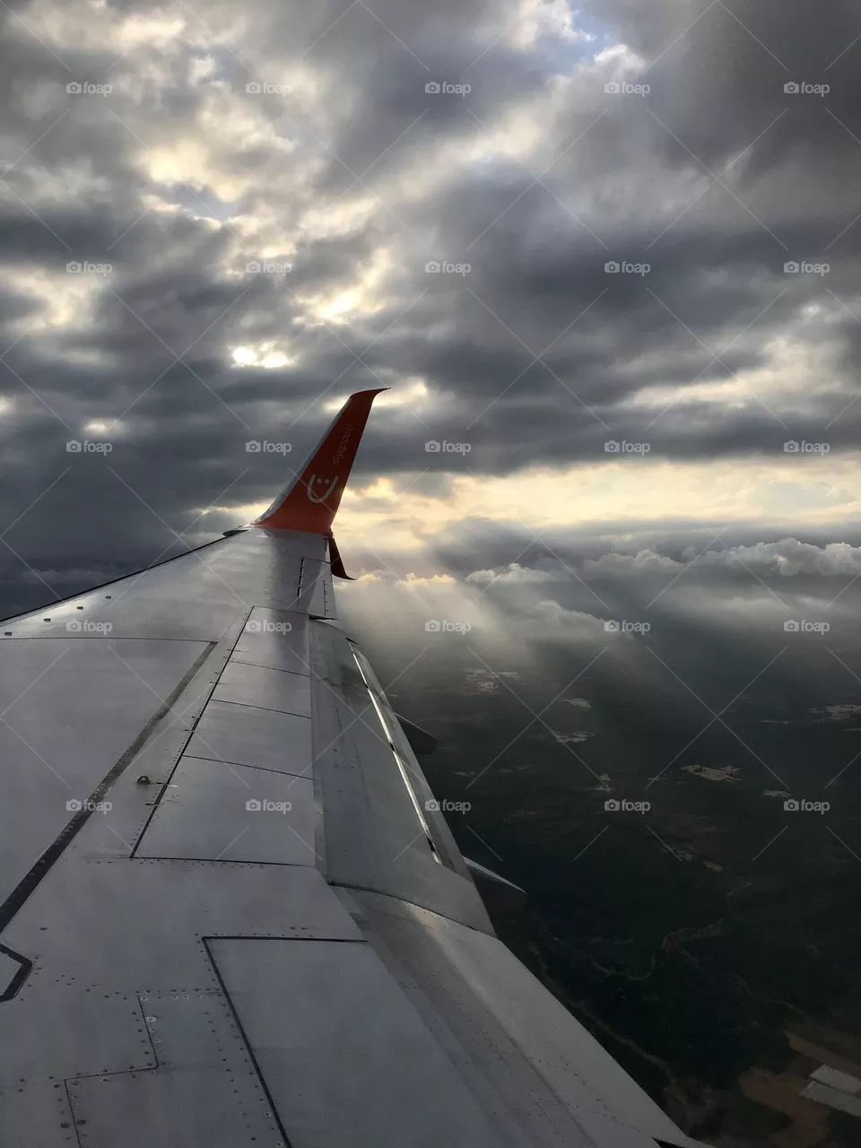 flight