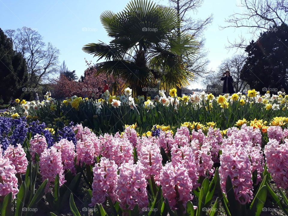 Natural painting.. 💞🌺