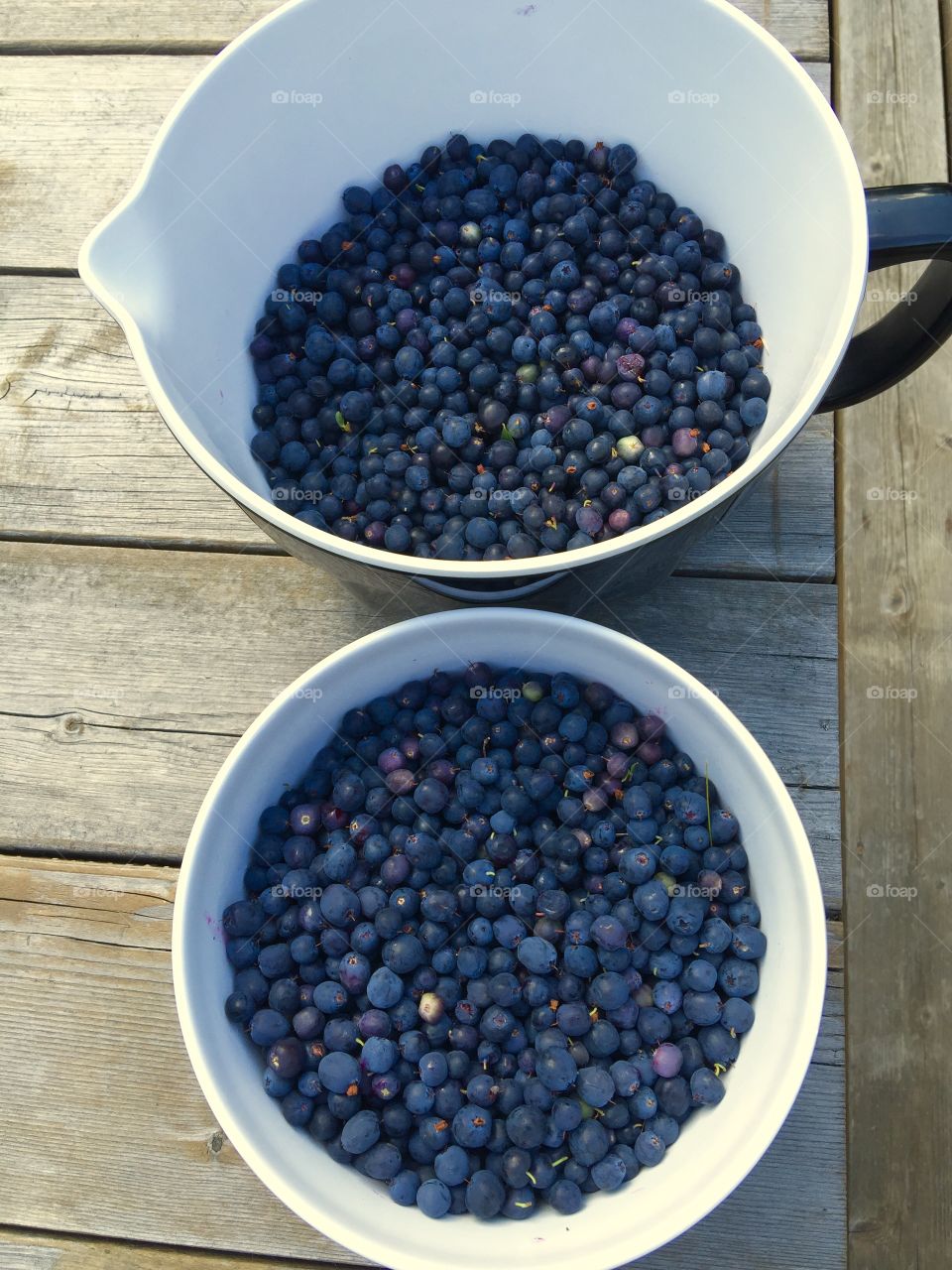Buckets of blueberries 