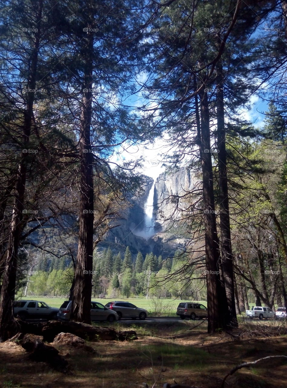 YoSemite  Falls Framed