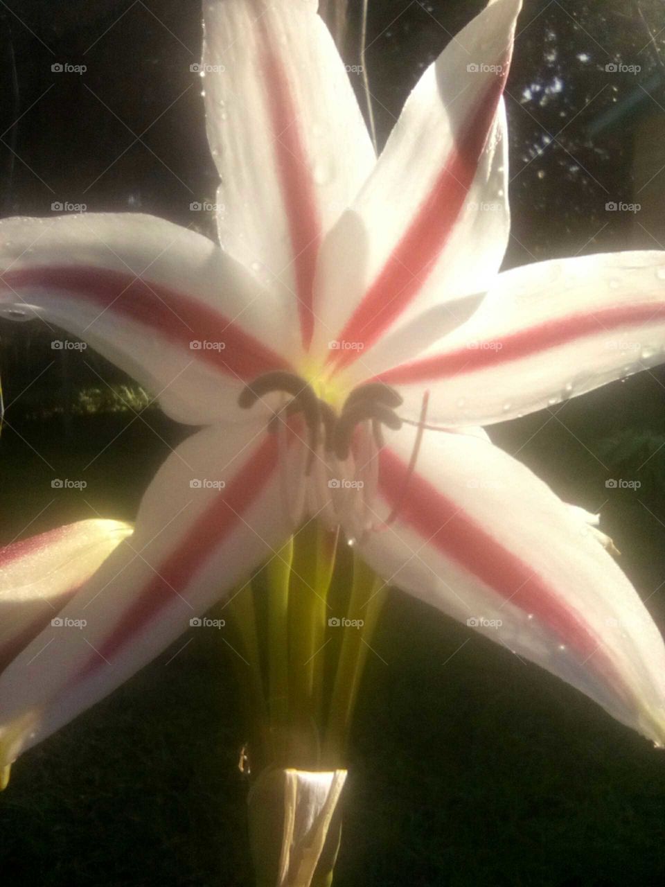 I embrace nature and love everything that is nature we e should be greatful an give thanks