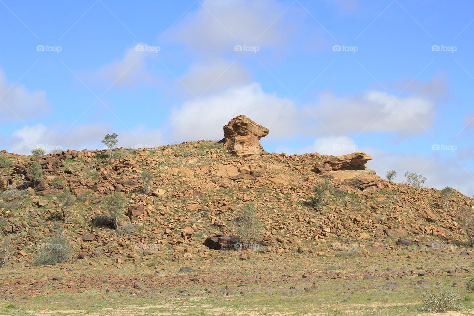 Sheep Head Hill