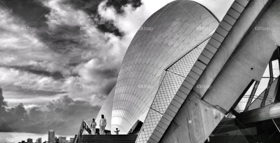 Architecture. Sydney Opera House