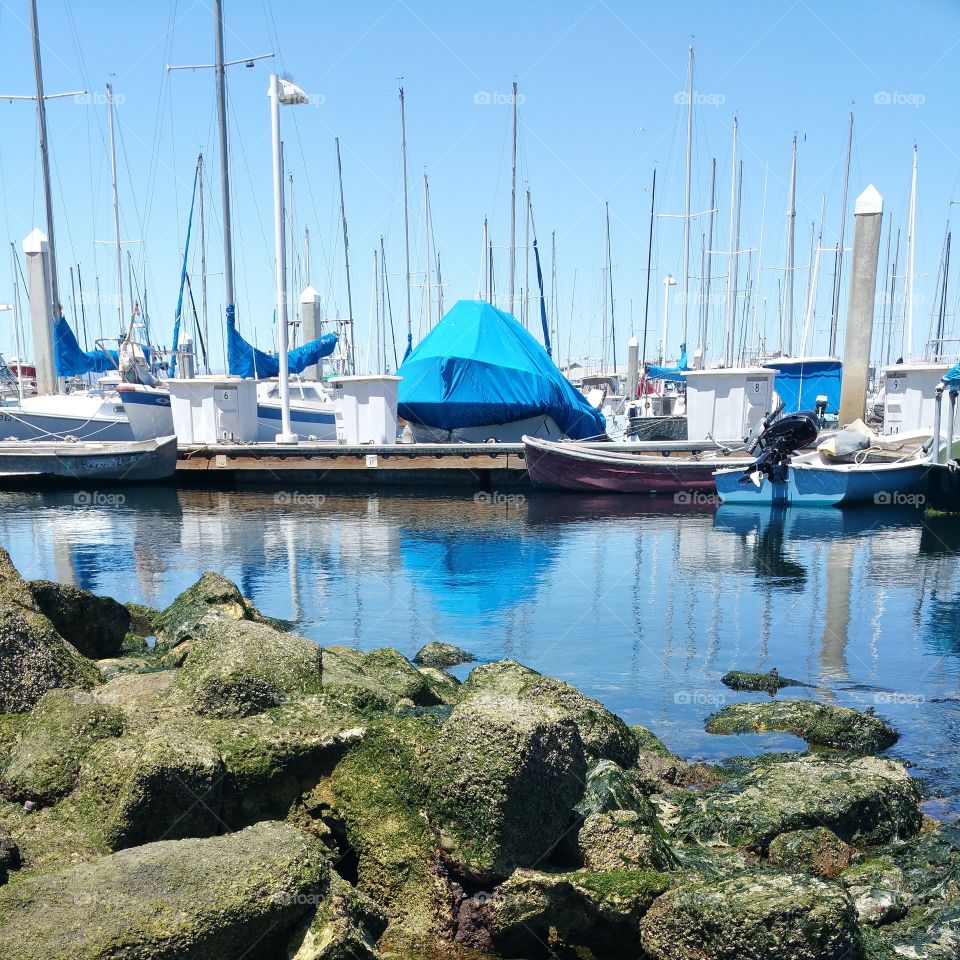 Monterey Marina