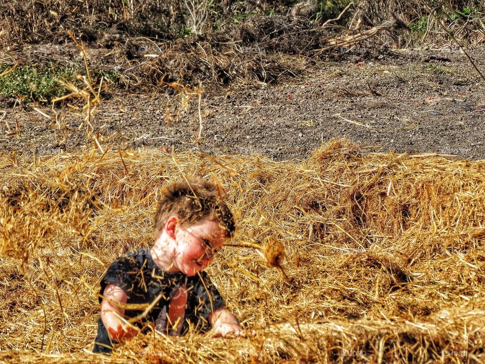 Playing In The Hay