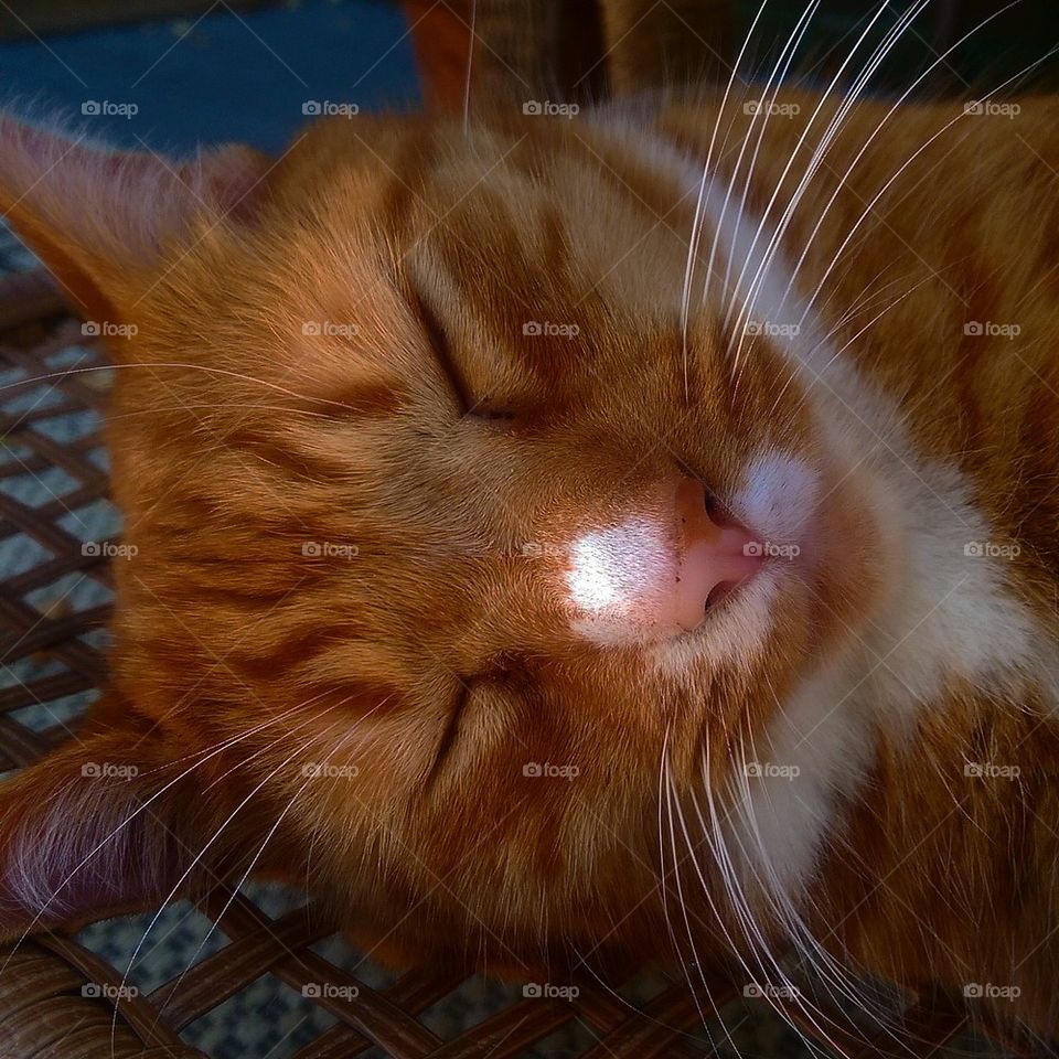 Asleep 