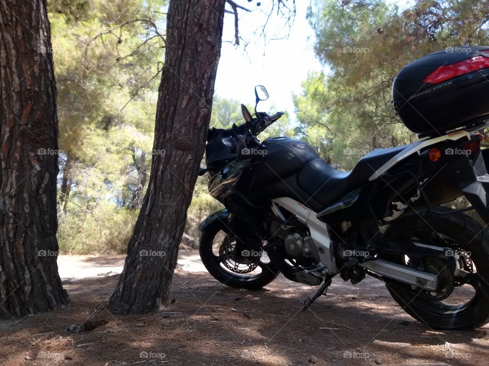 Motorbike in the forest shadow