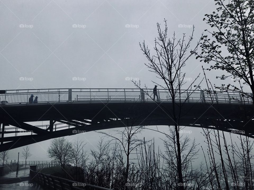Fog on the bridge 
