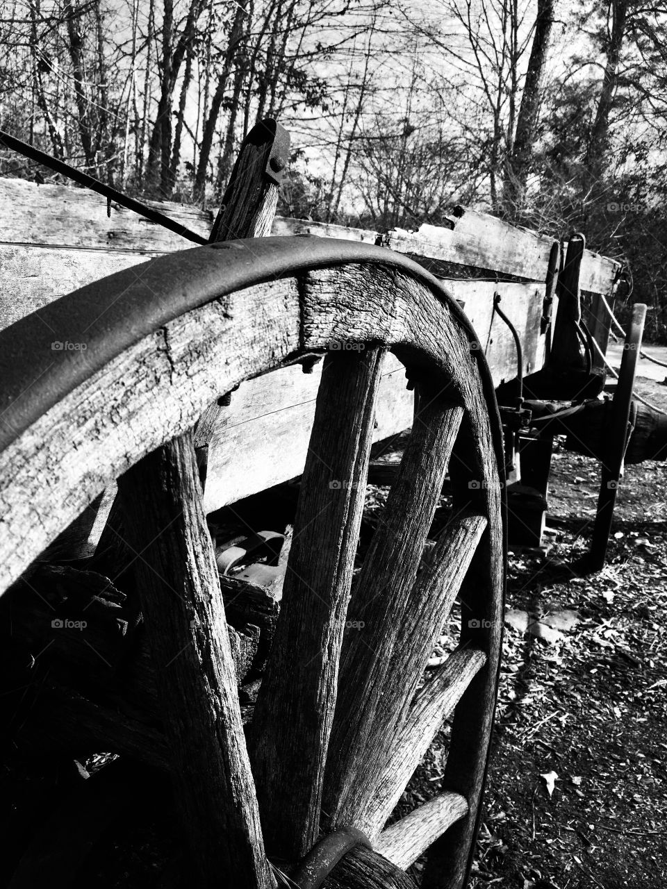 An old horse-drawn wagon