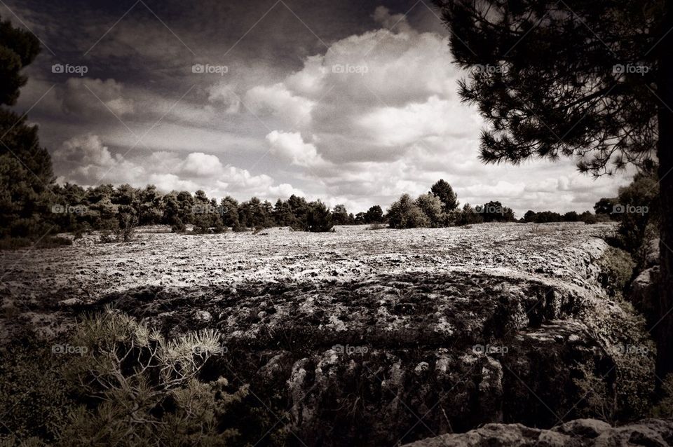 View of trees against cloudy sky