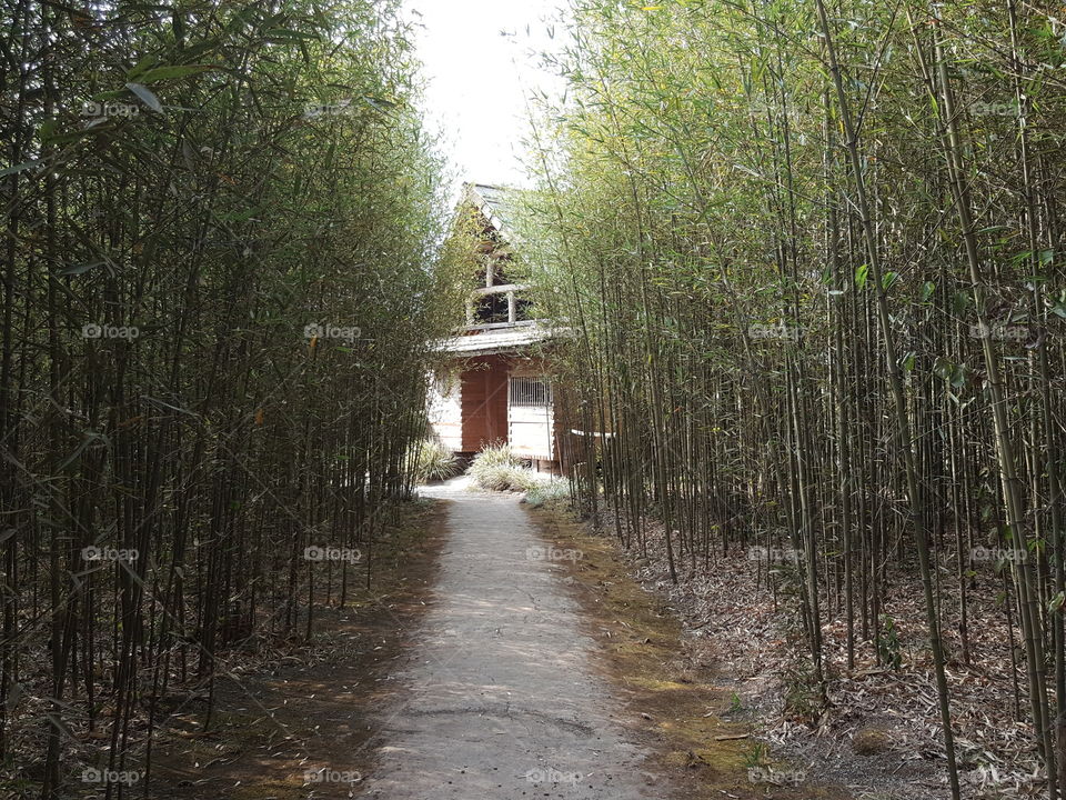 Bambu House.