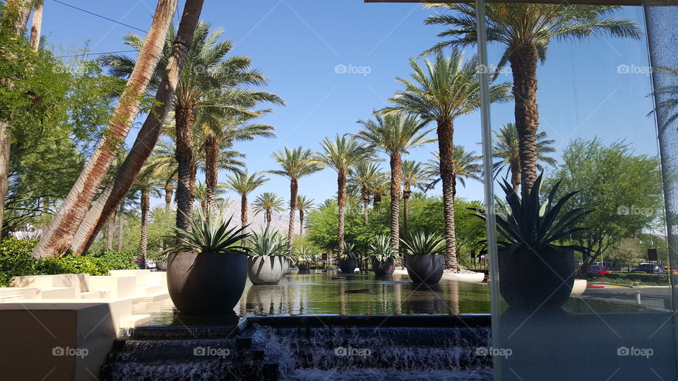 resort with palm trees