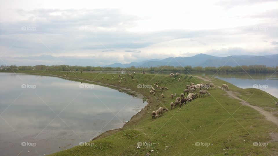 Water, No Person, Landscape, Nature, River