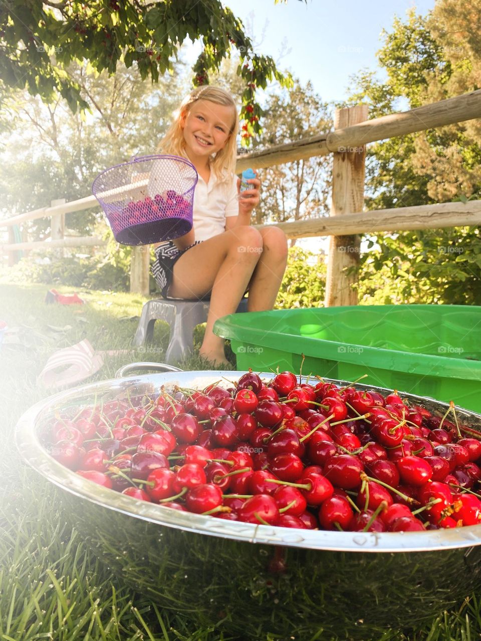 Cherry picking  🍒