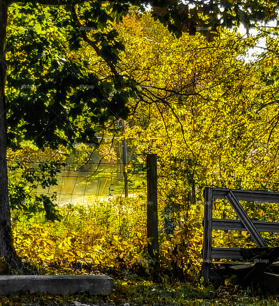 Spring into the country!