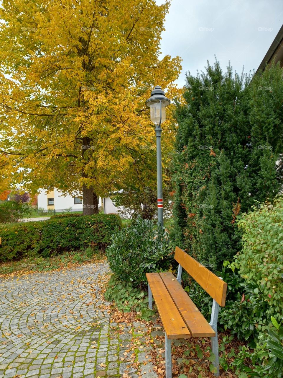 Bench with an Autumn View
