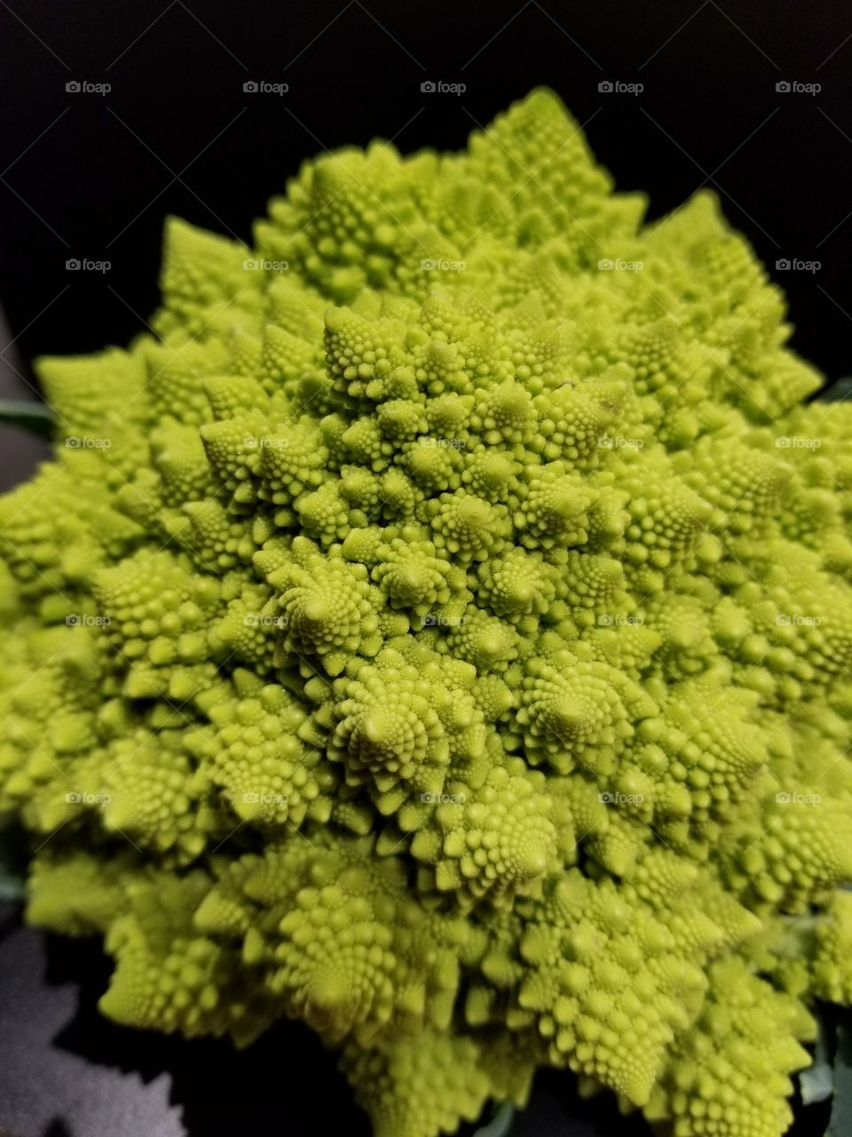 Geometric Broccoli At Whole Foods