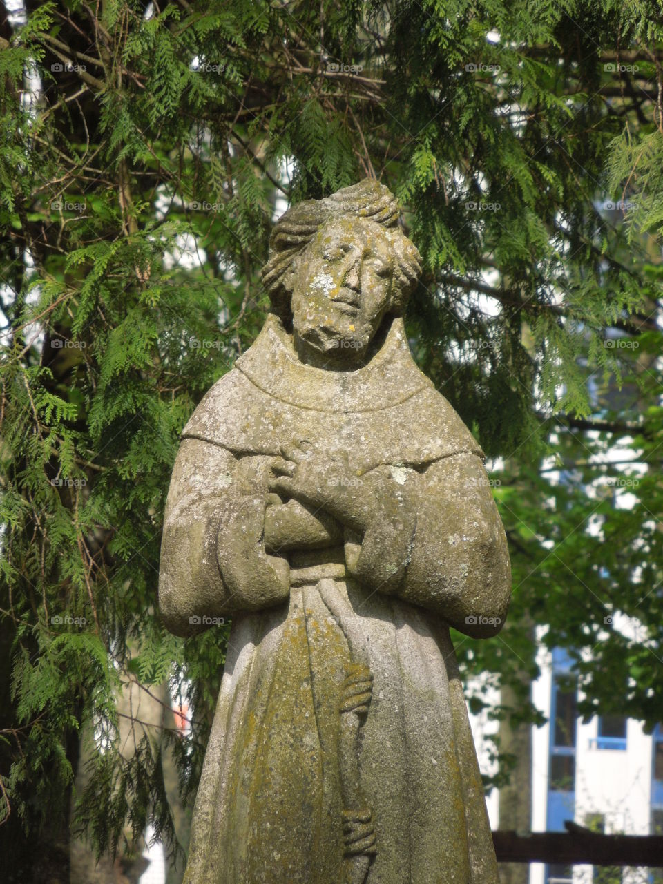 estátua em meio ao verde da natureza