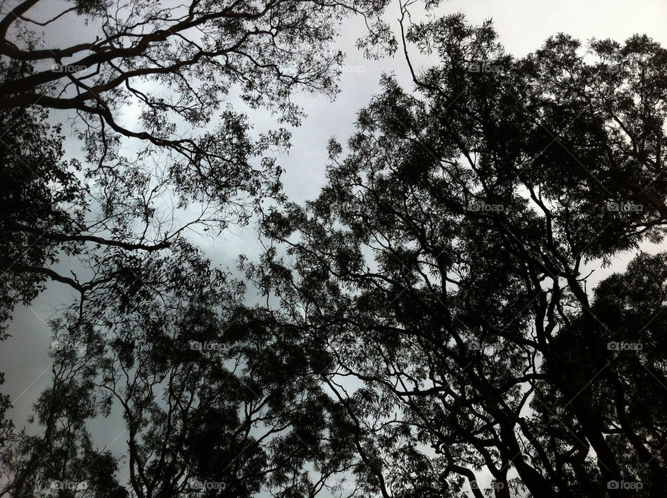 sky nature outdoor gray by king