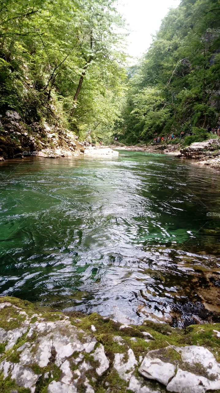 Cold green river