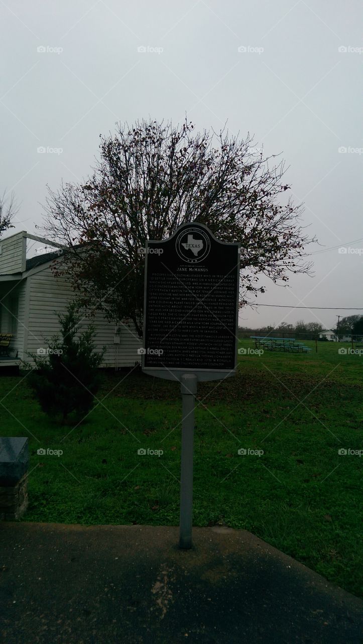 Tree, Landscape, No Person, Grass, House
