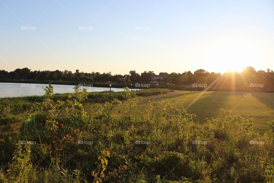 Landscape, No Person, Water, Tree, Lake