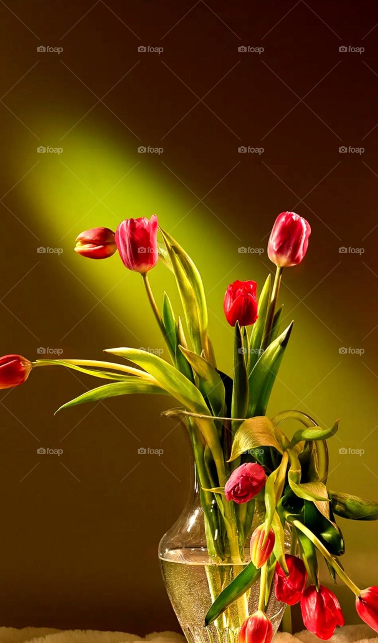 best flower it's a tulips flower pretty colourful flowers in glass pot nice leaf colour