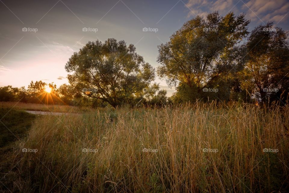 Autumn evening landscape 