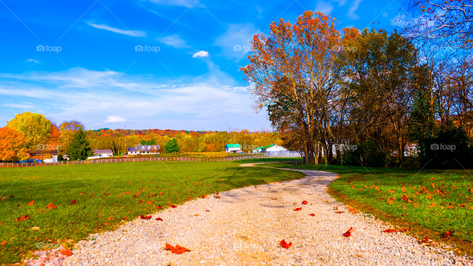 big fall sky country road