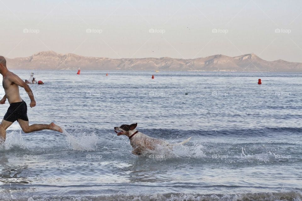 A dog running after his best friend