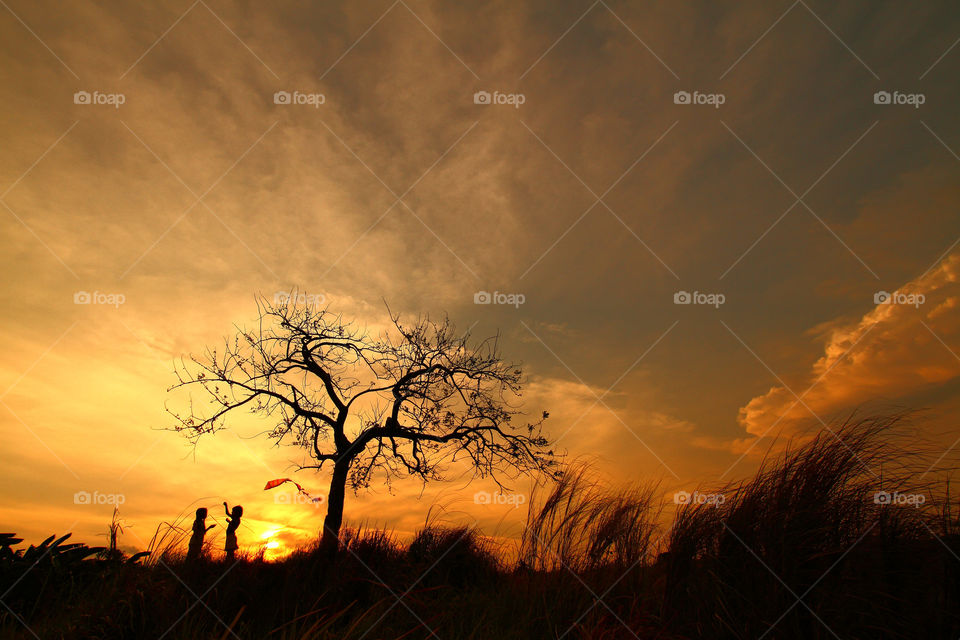 Under the tree