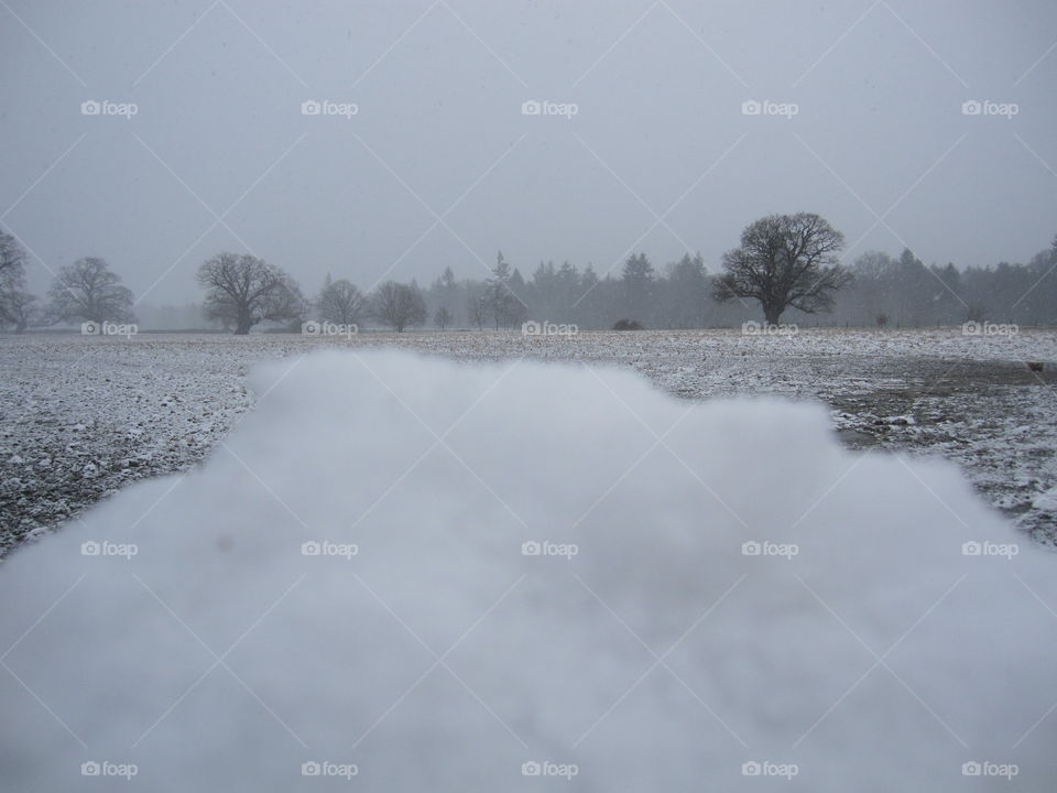 Winter Snow