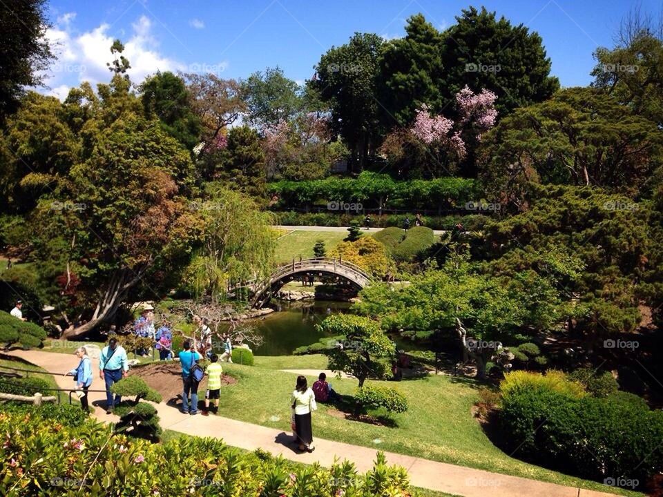 japanese garden
