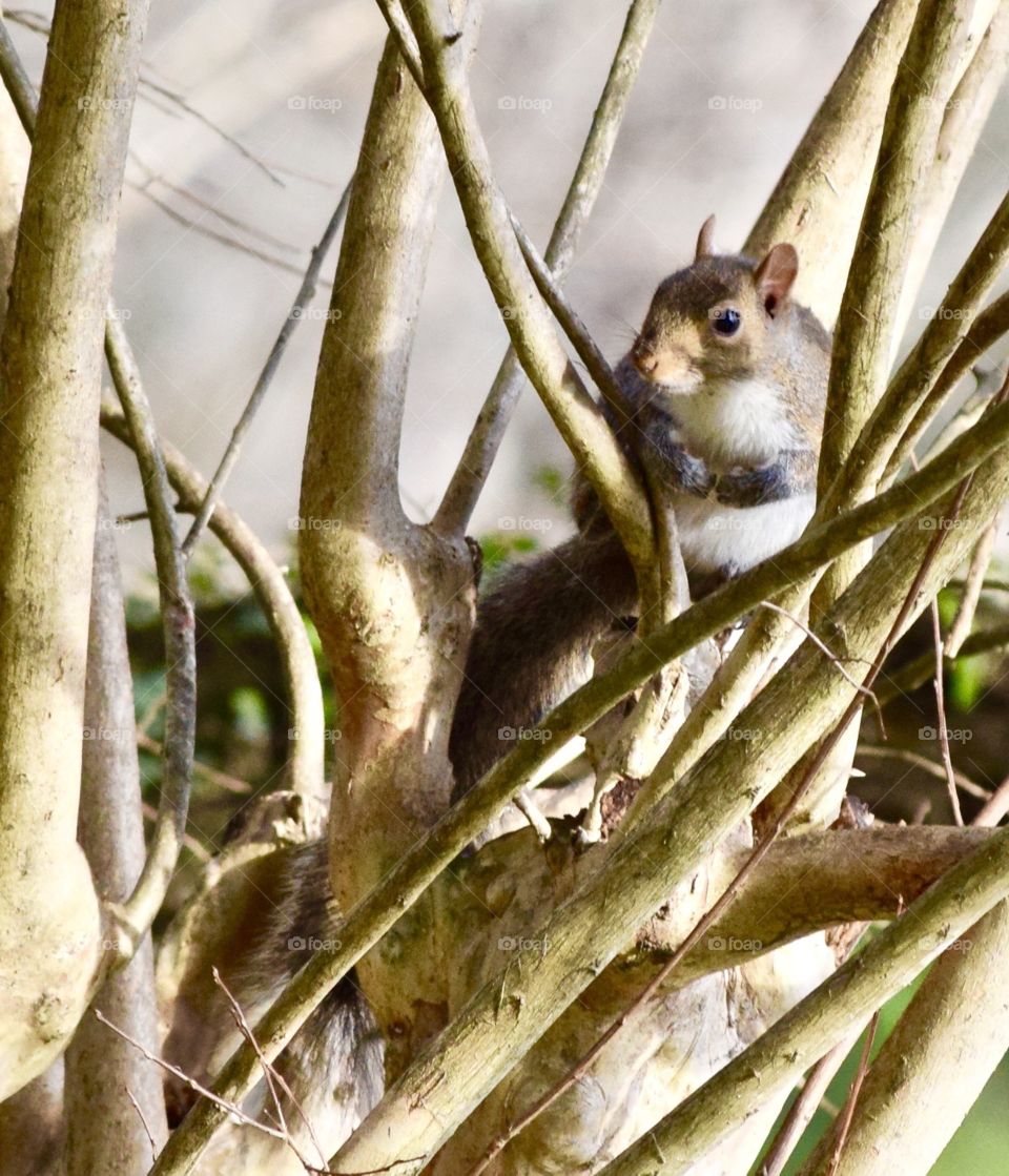 Obsessed with my neighbors