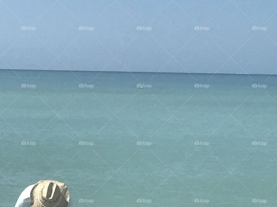 Searching for shark teeth along Venice Beach