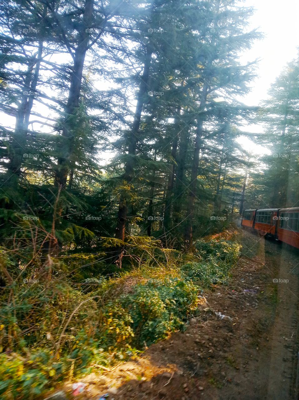 The Kalka–Shimla railway is a 2 ft 6 in (762 mm) narrow-gauge railway in North India which traverses a mostly-mountainous route from Kalka to Shimla. It is known for dramatic views of the hills and surrounding villages and forest.