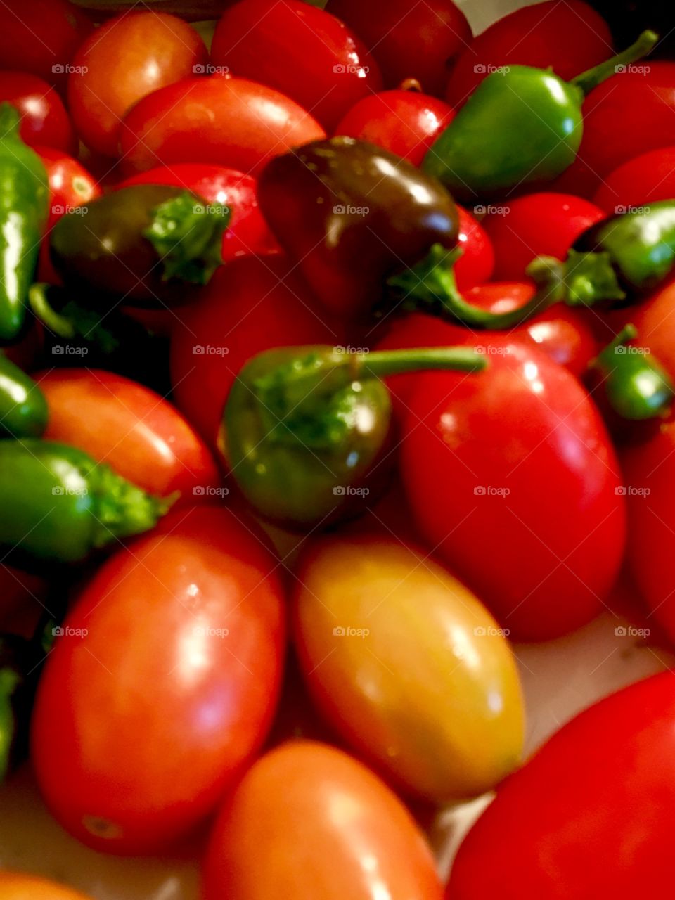 Tomatoes and peppers 