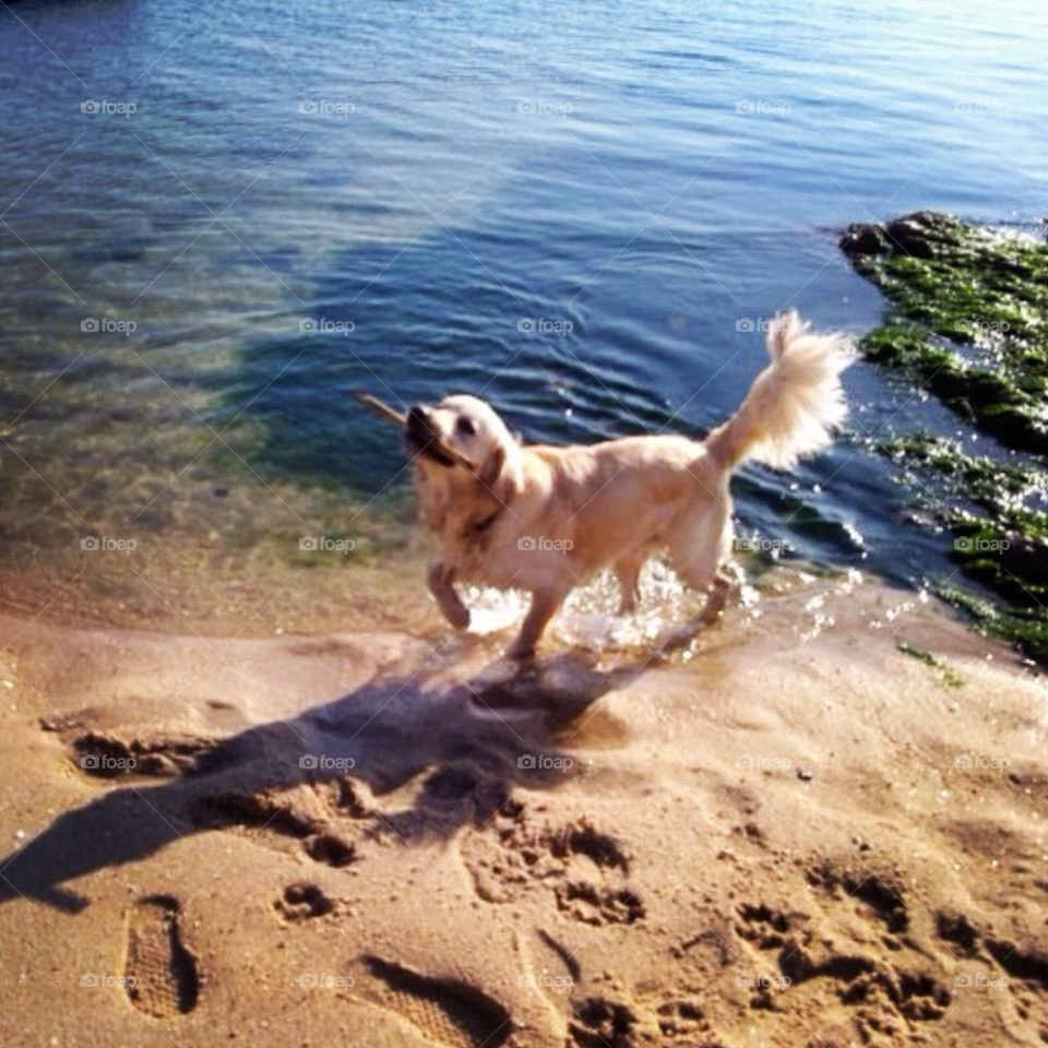 beach pretty summer play by Zita