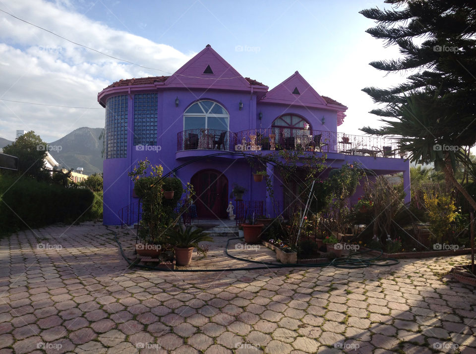 Funky purple Cyprus villa