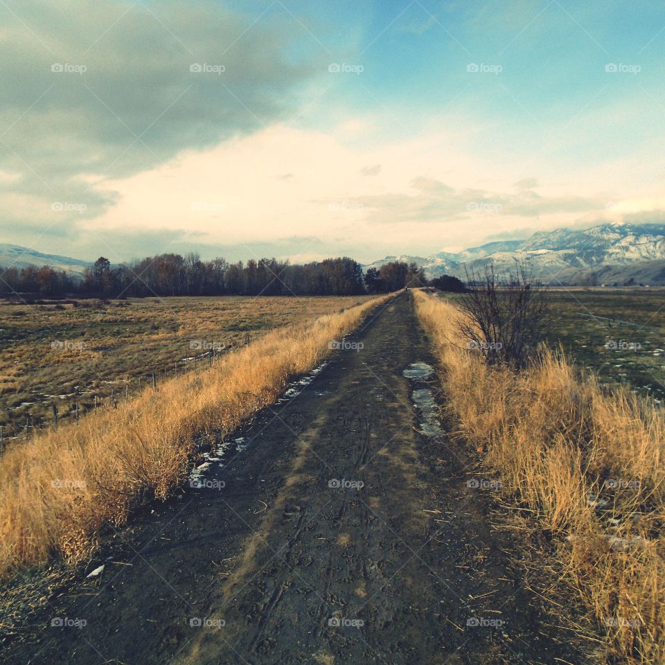 Beautiful winter walk 